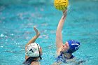 WWPolo vs CC  Wheaton College Women’s Water Polo compete in their sports inaugural match vs Connecticut College. - Photo By: KEITH NORDSTROM : Wheaton, water polo, inaugural